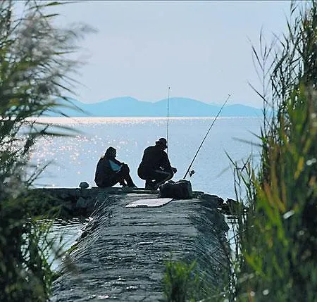 Petar Maksan Pakoštane