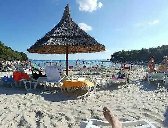 Petar Maksan * Pakoštane